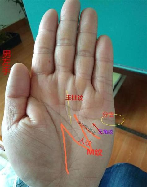 男士手相图解左手图片 男士手相图解左手图片