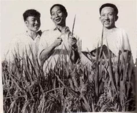 袁隆平五个人生“头条”：“人就像种子，要做一粒好种子”_深圳新闻网