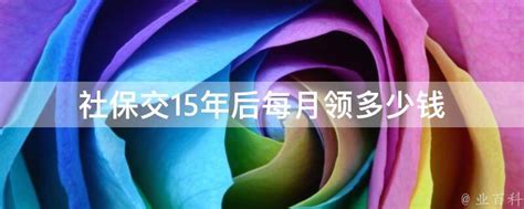 社保交15年后每月领多少钱 - 业百科