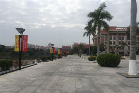 志愿者重回高中母校开展2019年招生宣讲-深圳技术大学创意设计学院