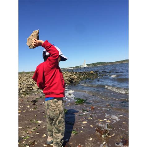 小男孩把石头扔进大海高清图片下载-正版图片501828757-摄图网