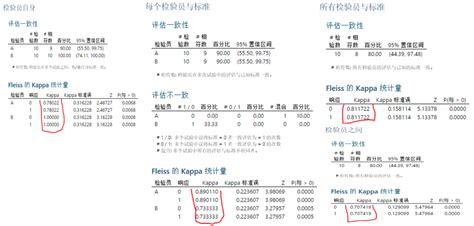 SPSS中的kappa一致性检验-IBM SPSS Statistics 中文网站