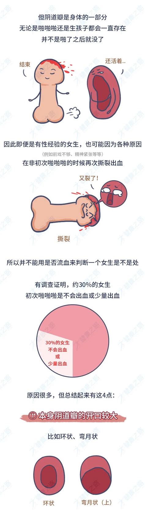 女生的发际线高适合什么发型-发友网