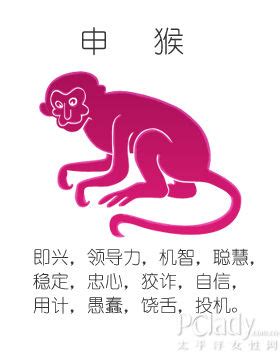 属猴出生年月对照表 属猴的年份有哪几年 - 万年历