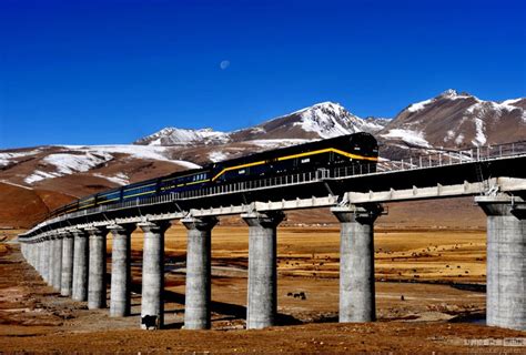 西藏林芝：雪域高原列车穿越花海-人民图片网