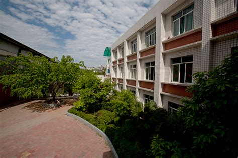 首页 - 自贡市蜀光绿盛实验学校