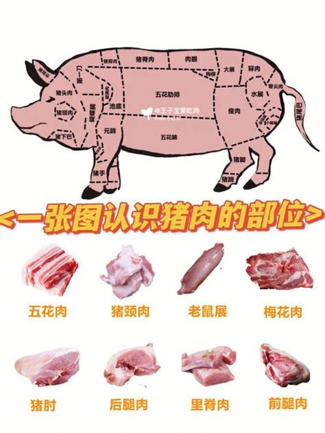 肉店复古标志猪肉制品，屠宰标志模板复古风格。高清摄影大图-千库网