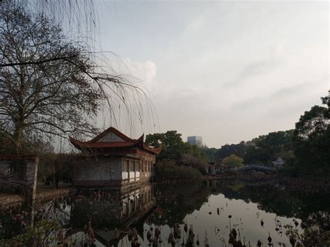 2020青山公园-旅游攻略-门票-地址-问答-游记点评，武汉旅游旅游景点推荐-去哪儿攻略