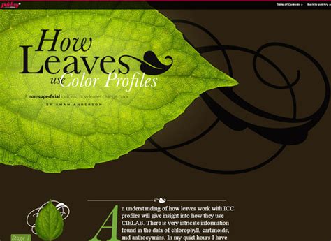 漂亮的字体设计:32个国外网站欣赏 - 设计之家