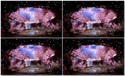 灯笼红地毯喜庆节日舞台背景视频素材2_视频素材免费下载_模板天空