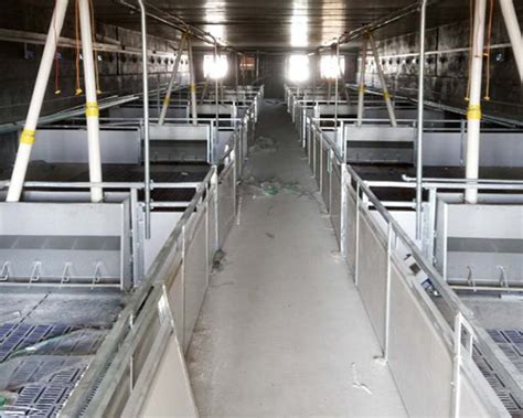 养殖养鸡设备龙门式四列四层全自动上料机行车式2列3层自动喂料机-农机网