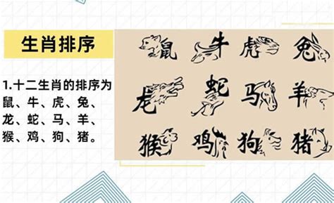 十二生肖排序表图图片 十二生肖排序表图图片