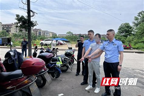 桃江警方侦破系列跨市盗窃摩托车电瓶案_益阳新闻_益阳站_红网