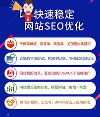 seo网站推广优化公司 的图像结果