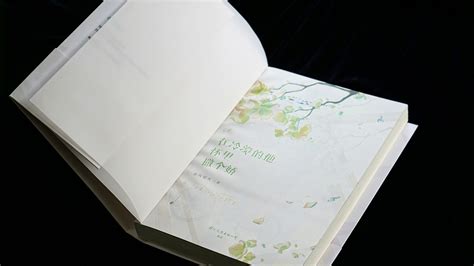 《在冷漠的他怀里撒个娇》丨书籍装帧设计_Laberay淮-站酷ZCOOL
