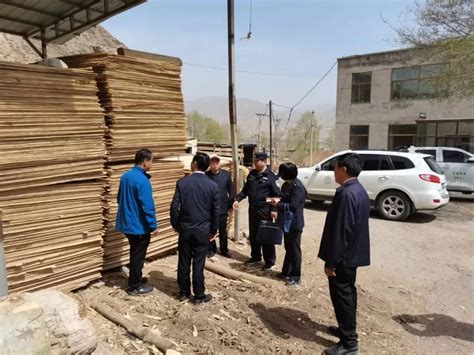 青海海东市乐都区开展木材加工厂检查-木业网