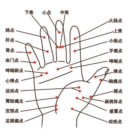 中医24种手诊图，堪比X光线，揭示你的身心健康