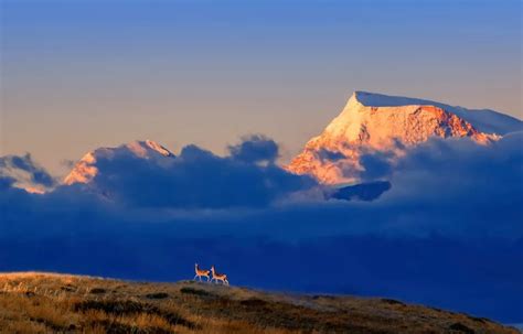 城荐丨西藏的阿里，是4500米之上的世界屋脊！|玛旁雍错|阿里_新浪新闻