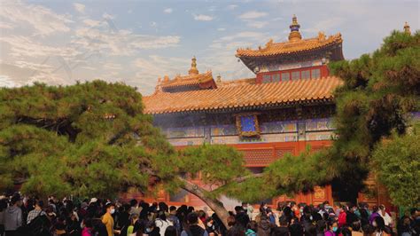 北京雍和宫：桃花绽放