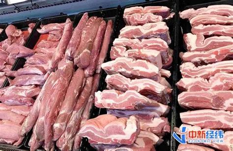 储备肉再投放：华储网发布消息1月15日中央储备冻猪肉投放3万吨 - 猪好多网