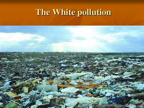 英语-环境污染ppt_word文档在线阅读与下载_免费文档