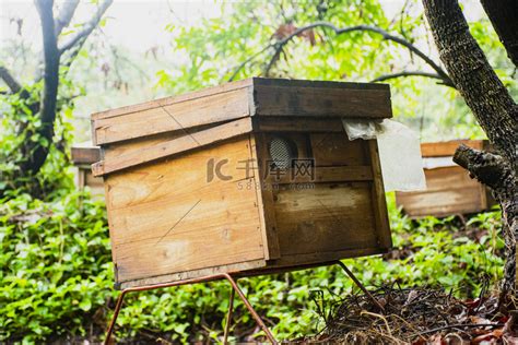蜂房（蜜蜂所建的巢穴） - 搜狗百科