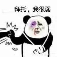 熊猫头表情包求求你图片