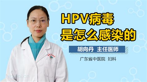 感染HPV病毒可以怀孕吗_中华康网