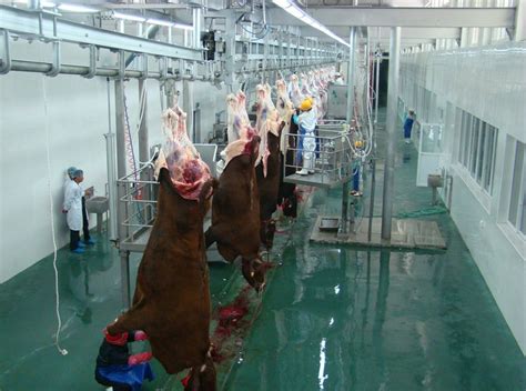屠宰分割效果好 猪牛羊屠宰场定点指定商 牛屠宰设备-阿里巴巴