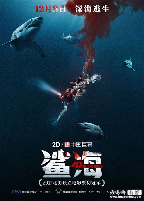 马里布鲨鱼攻击-电影-高清在线观看-百搜视频