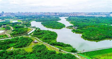 绿道科普｜青龙湖湿地公园二期正式开放啦 ！_生态