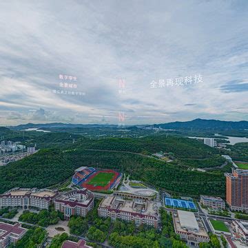 交通岛、道路、花境：深圳留仙大道渠化岛绿化（2022年1月）