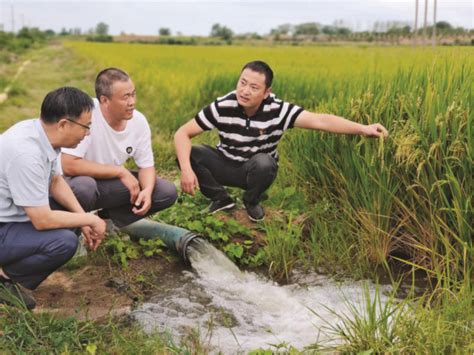 农技指导到田间 抗旱减灾保秋收_滁州市人民政府