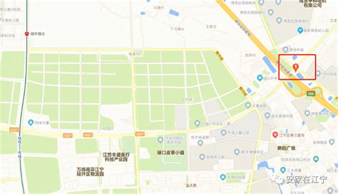 首次！观澜开通地铁，打新大军冲向了这个地铁口网红盘！|界面新闻