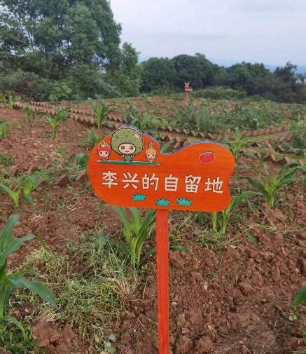 重庆大学城有什么好玩的农家乐-海明山庄(www.cqhlyt.com)