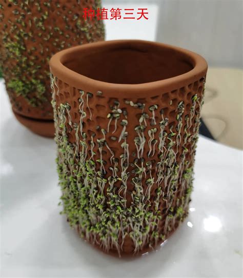 terraplanter懒人自动浇水陶瓷花盆室内植物红土自动渗水蜂窝花盆-淘宝网