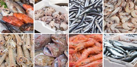 在越南油菜市场鱼市销售的各类松散鱼高清图片下载-正版图片506564466-摄图网
