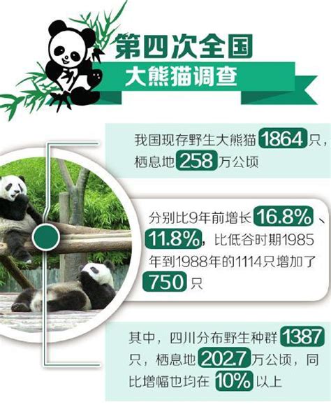 林业局：大熊猫仍是濒危物种_手机新浪网