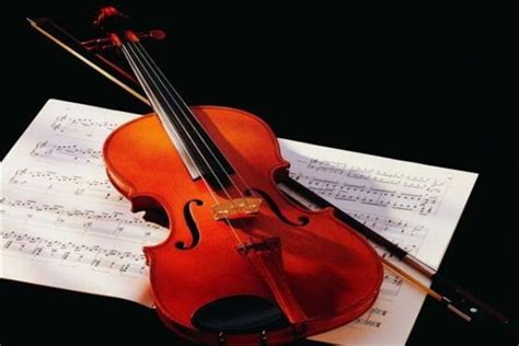 小提琴真的很难学吗，小提琴入门最佳年龄-528时尚