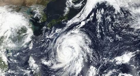 日本遭25年最强台风：百万人撤离背后，有些事必须知道……|观察者网|也门|图片来源_新浪新闻