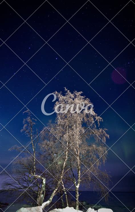 星星雪图片