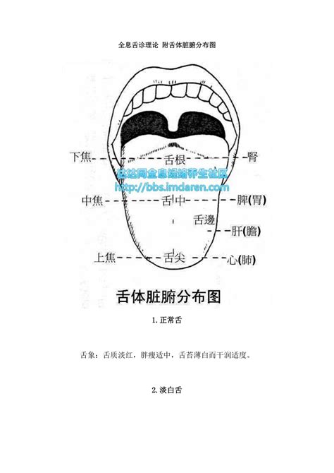 舌头对应五脏图图片