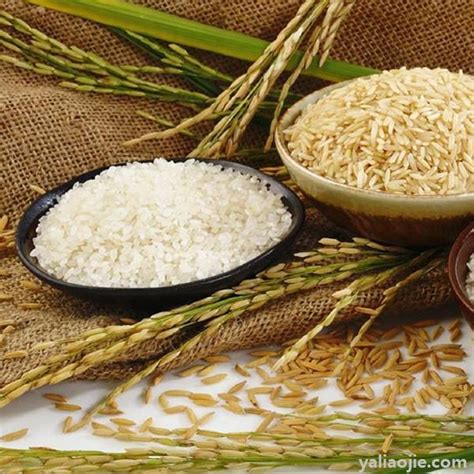杂交水稻好吃吗（杂交水稻是什么米） – 碳资讯