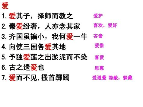 2023初中语文中考文言文全套实词虚词和通假字Anki中文资源网
