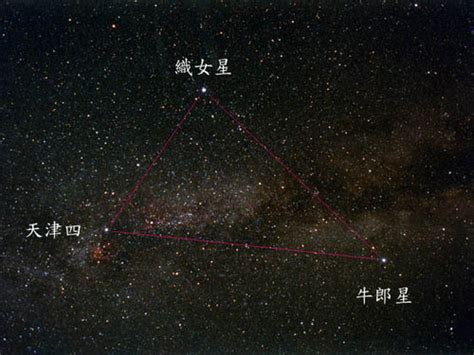 牛郎星和织女星属于什么星座 天鹰座和天琴座 - 第一星座网