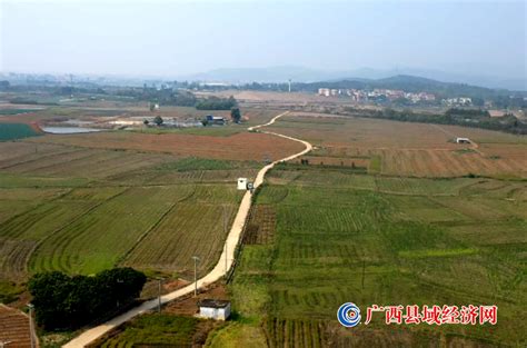 《广西现代生态养殖“十三五”规划》亮点解读 - 广西县域经济网