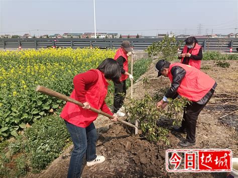 珍爱绿色 守护绿色家园——樊浦村开展植树活动
