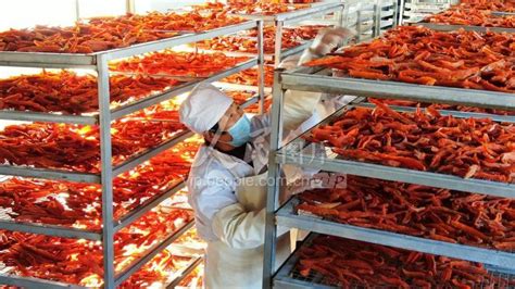 河北迁安：红薯铺就“甜蜜”产业-人民图片网