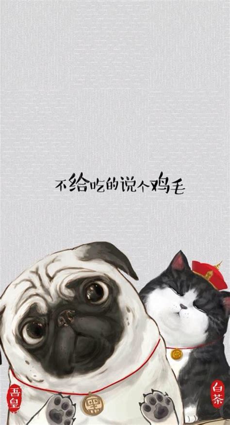 雪狗巴扎黑图片