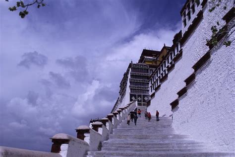 去西藏，每个人都会有高原反应吗？怎样才能预防高原反应？